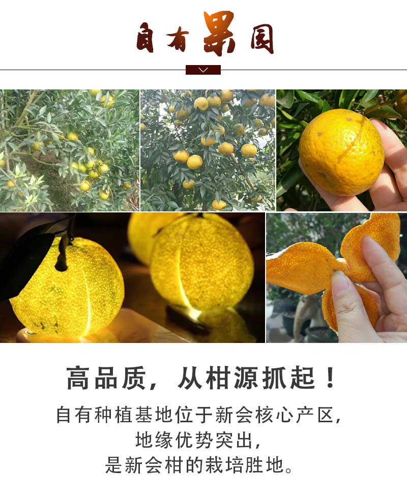 新会小青柑品牌-古谚小青柑，新会小青柑十大品牌之一