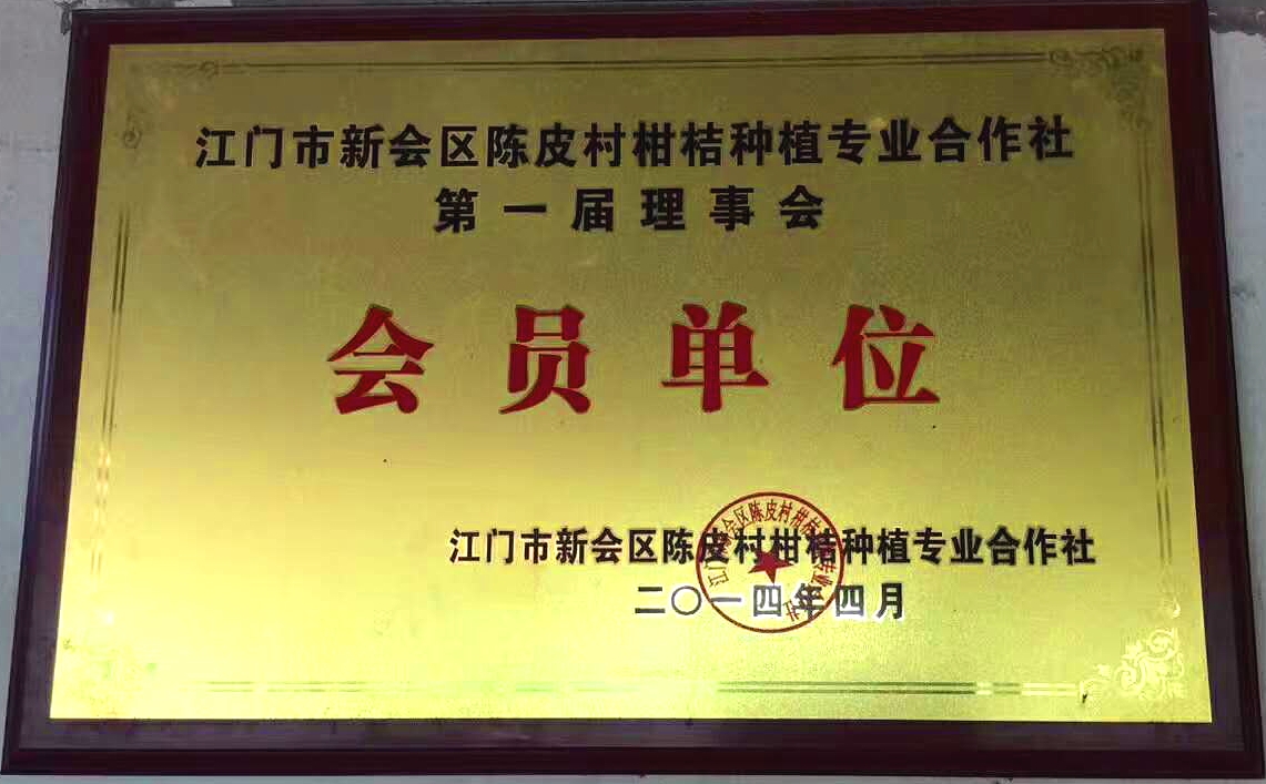 古谚柑普茶进入小青柑十大品牌行列